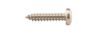 504012 Plateskrue A4 DIN7981 (a)